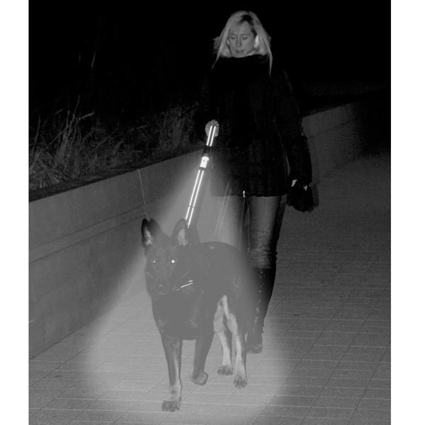 Woman walking dog with Patento flashlight dog leash