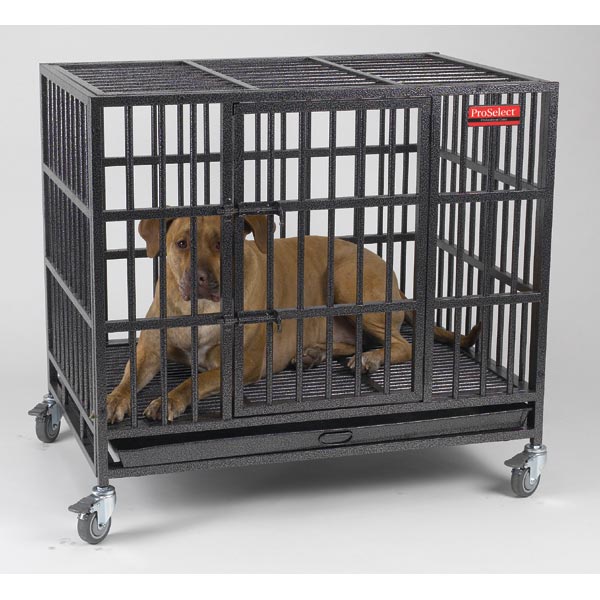 indestructible dog cage proselect empire dog crate dog cages 600x600
