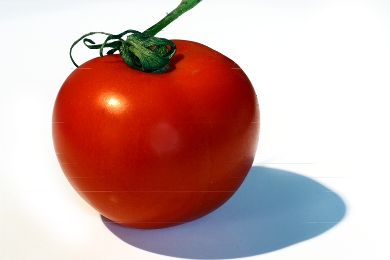 grow bigger tomatoes