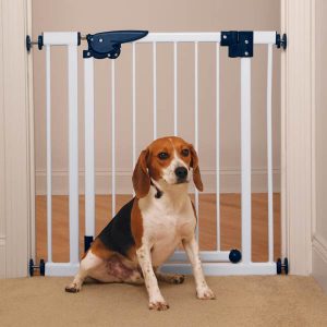 child and pet gates