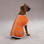 Zack Zoey Dog Jacket Orange