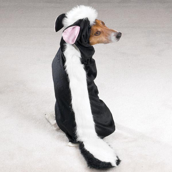 skunk dog costume