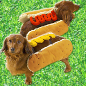 Hot Diggity Dog Halloween Costumes