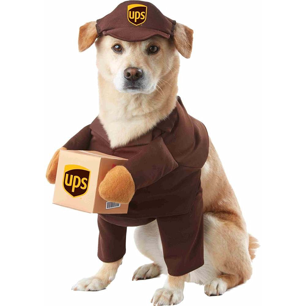 ups dog costume