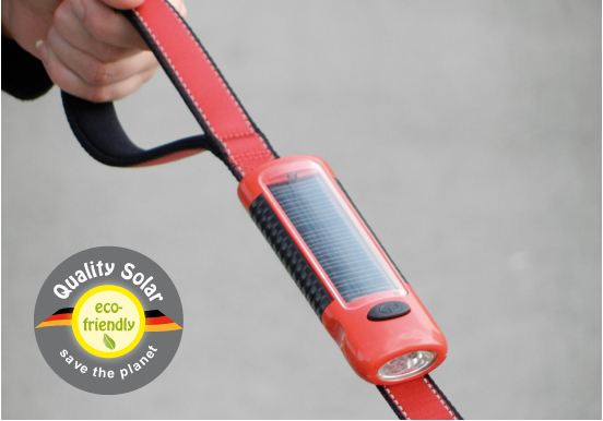 dog leash with flashlight