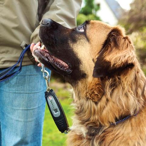 Patento Dog Leash Trainer