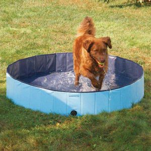 Dog Pool For Medium Dogs