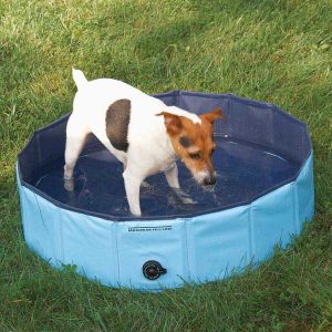 Dog Pool for Small Dogs