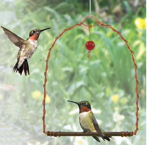 Songbird Essentials Hummingbird Swing