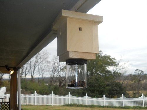 carpenter bee trap