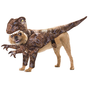 Raptor dog costume