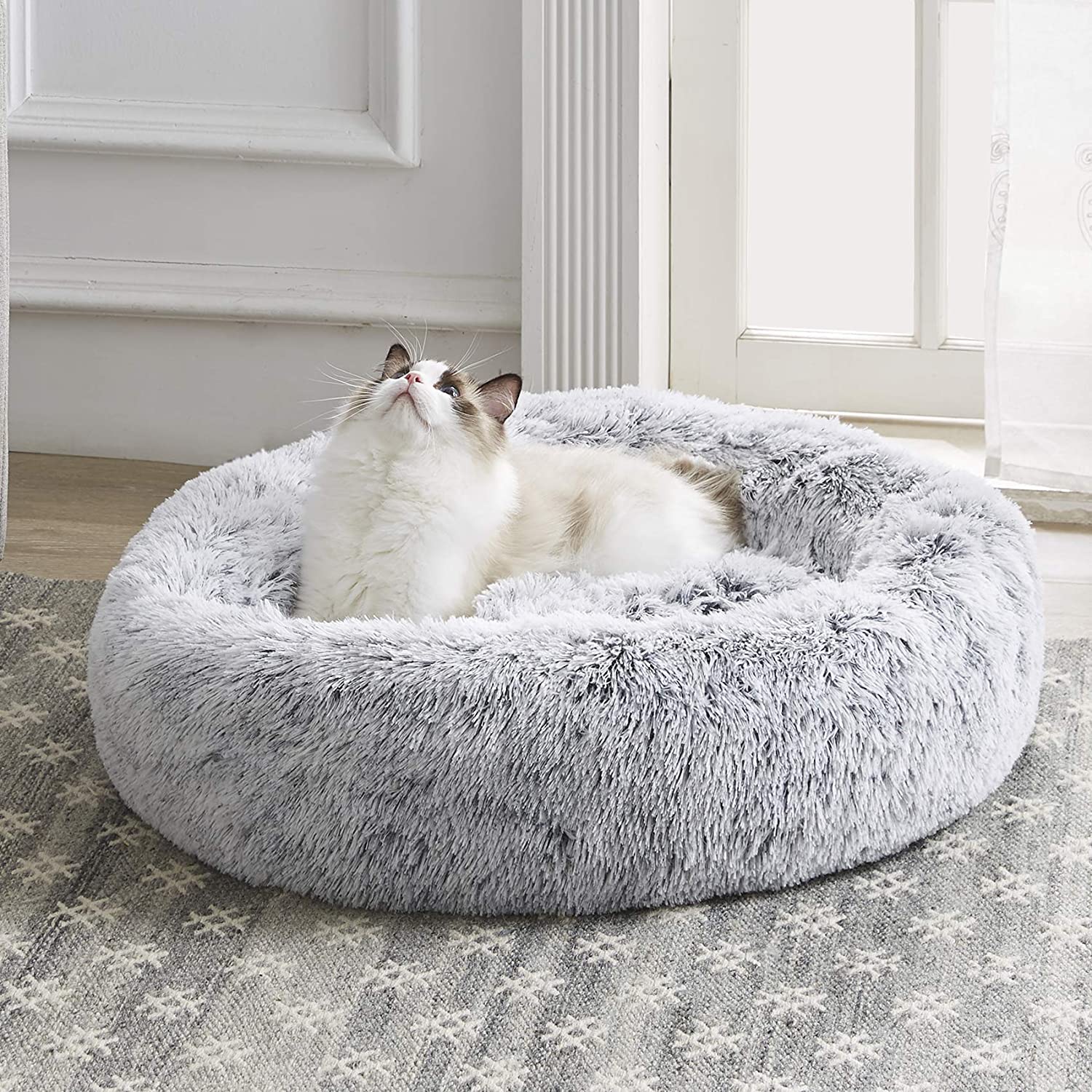 cat bed western home